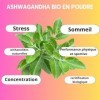 ASHWAGANDA | BIO| Withanolides | Adaptogène | Ayurveda | Stress, Sommeil, Énergie, Bien-Être | sachet poudre 150g | Fabriqué 
