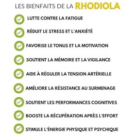 Rhodiola Rosea – 60 Gélules Végétales • Extrait Concentré 1% Salidrosides • Anti-Stress & Anti-Fatigue • Clarté Mentale, Mémo