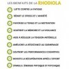 Rhodiola Rosea – 60 Gélules Végétales • Extrait Concentré 1% Salidrosides • Anti-Stress & Anti-Fatigue • Clarté Mentale, Mémo