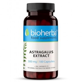 Astragale – 100 Gélules de 300 mg | Extrait de racine avec zinc – par BIOHERBA