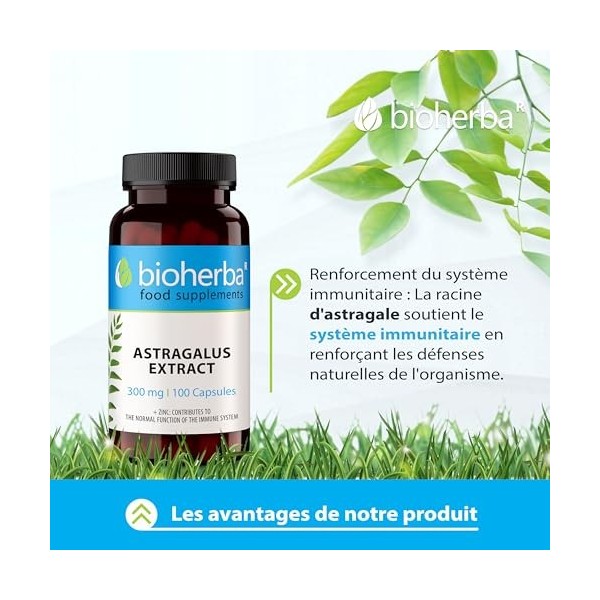 Astragale – 100 Gélules de 300 mg | Extrait de racine avec zinc – par BIOHERBA