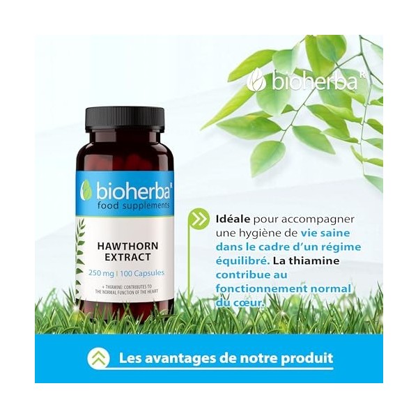 Aubépine – 100 Gélules de 250 mg | Complément végétal pour le bien-être circulatoire – par BIOHERBA