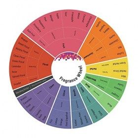 Arden Beauty Edp Vapo 50 Ml