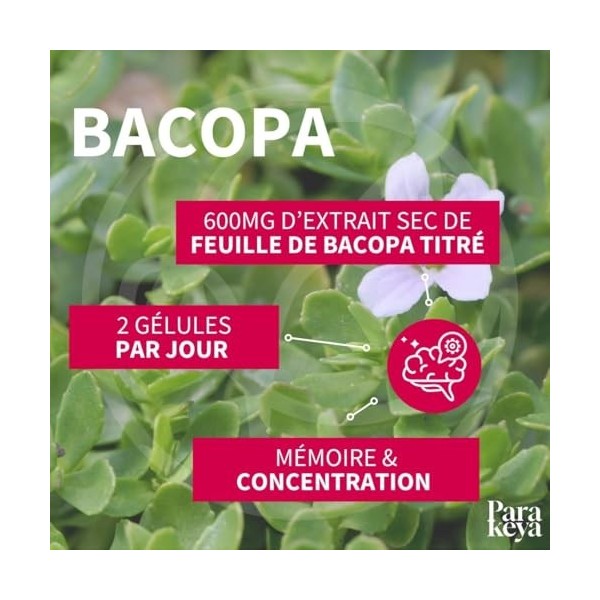 Parakeya - Bacopa 300 mg| Mémoire et Concentration|Complément alimentaire|60 gélules Bacopa monnieri