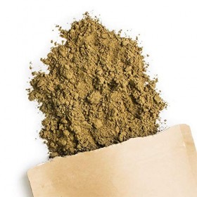 Terra Elements Brahmi bio en poudre 100 g I hysope d’eau I 100% pure I vegan I qualité crue