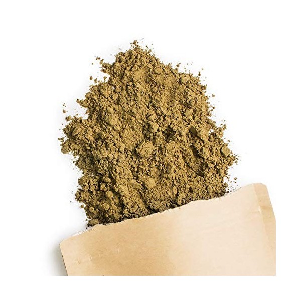 Terra Elements Brahmi bio en poudre 100 g I hysope d’eau I 100% pure I vegan I qualité crue