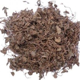 Bramhi – 100 g – Bacopa – Bhrami sec – Hysope deau – Neerbrahmi – Bacopa Monnieri