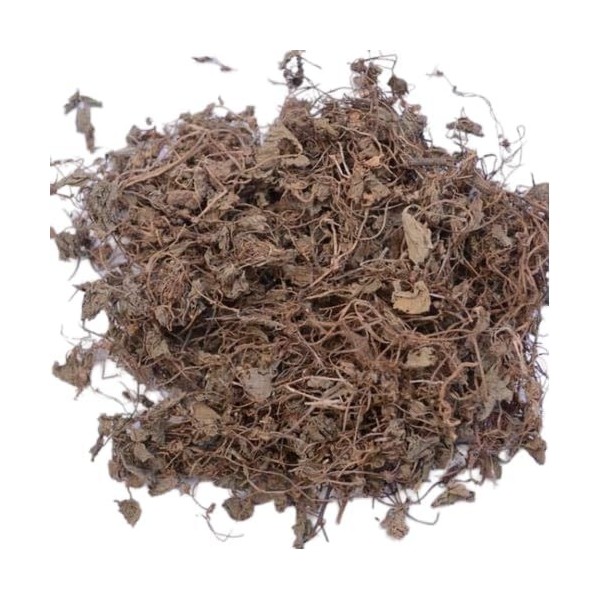 Bramhi – 100 g – Bacopa – Bhrami sec – Hysope deau – Neerbrahmi – Bacopa Monnieri