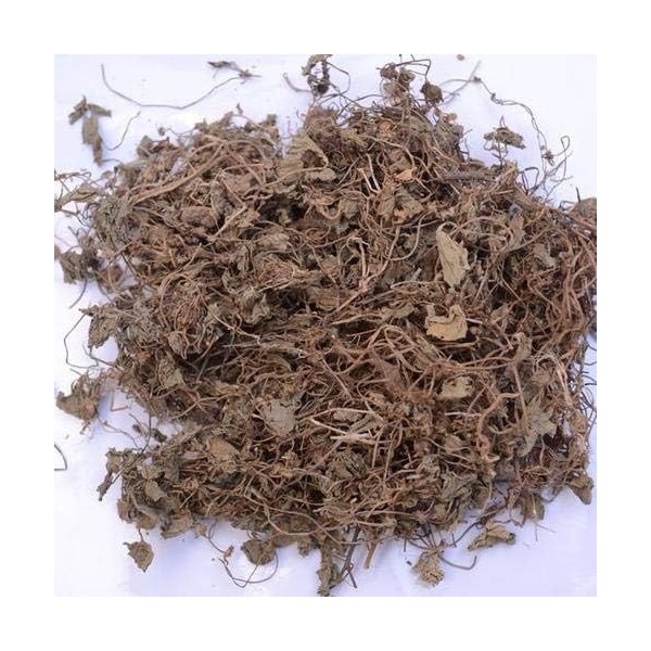 Bramhi – 100 g – Bacopa – Bhrami sec – Hysope deau – Neerbrahmi – Bacopa Monnieri