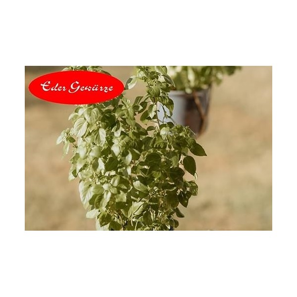 Eder Gewürze - Basilic en poudre - 1kg