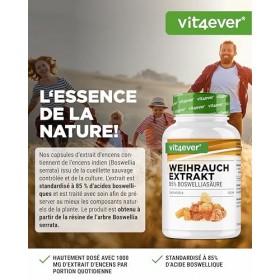 vit4ever Extrait d’encens - 240 gélules véganes - 1000 mg par portion quotidienne - Avec 85% d’acides boswelliques issus de v