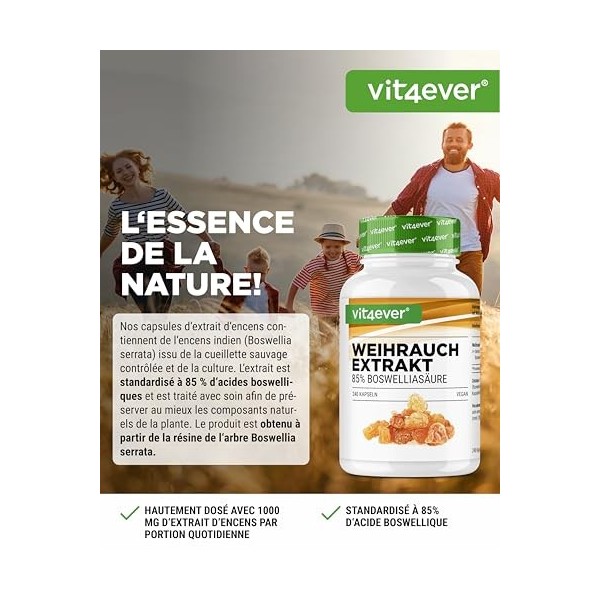 vit4ever Extrait d’encens - 240 gélules véganes - 1000 mg par portion quotidienne - Avec 85% d’acides boswelliques issus de v
