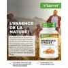 vit4ever Extrait d’encens - 240 gélules véganes - 1000 mg par portion quotidienne - Avec 85% d’acides boswelliques issus de v