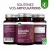 Boswellia Serrata 2000 mg extrait 5:1 , 180 gélules véganes, 6 mois de cure, 65% acide boswellique, encens indien, soutien a