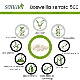 Sanuvit® - Boswellia Serrata 500mg | Hautement dosé avec 500mg de Boswellia serrata indien par capsule | Haute biodisponibili