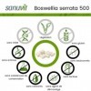 Sanuvit® - Boswellia Serrata 500mg | Hautement dosé avec 500mg de Boswellia serrata indien par capsule | Haute biodisponibili