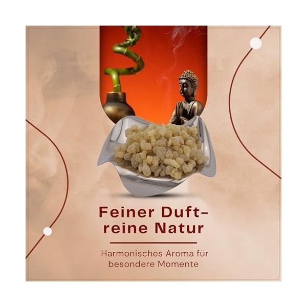 Encens de lInde Peasize - Boswellia serrata - Parfum doux et épicé pour la clarté et la méditation sachet de 50 g Boswellia ...