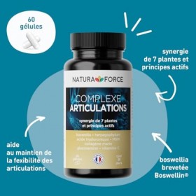 Complexe Articulations - 7 plantes et principes actifs hautement titrés - la santé articulaire - Soulagement des symptômes de...