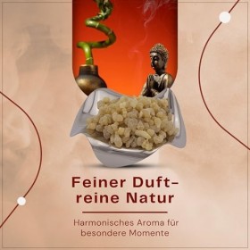 Boswellia carterii - Encens de Somalie 1er choix - Parfum balsamique pour la détente et lharmonie sachet de 50 g Boswellia s...