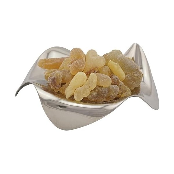 Boswellia carterii - Encens de Somalie 1er choix - Parfum balsamique pour la détente et lharmonie sachet de 50 g Boswellia s...