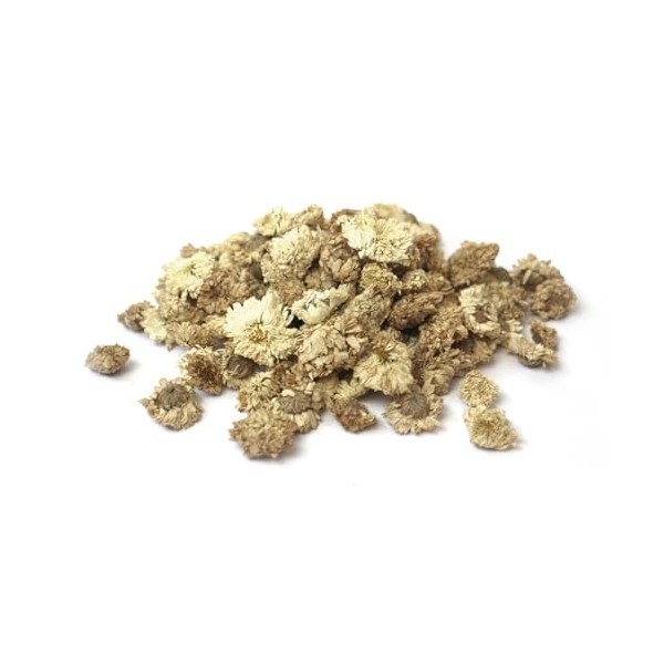 Tisane de Camomille Romaine BIO Chamaemelum Nobile – Fleurs entières en vrac pour infusion - 20g - Tisane - garantie sans c