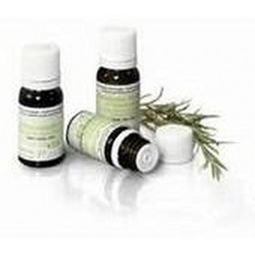 Huile essentielle de camomille allemande 5 ml de Pranarom Camomille