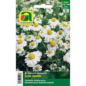 Véritable camomille