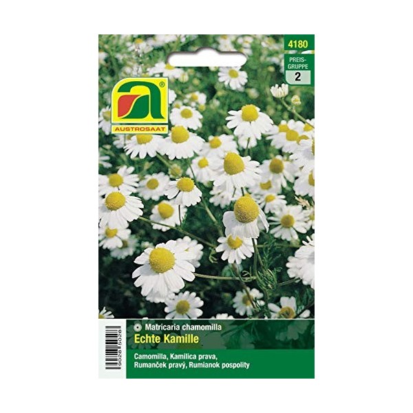 Véritable camomille