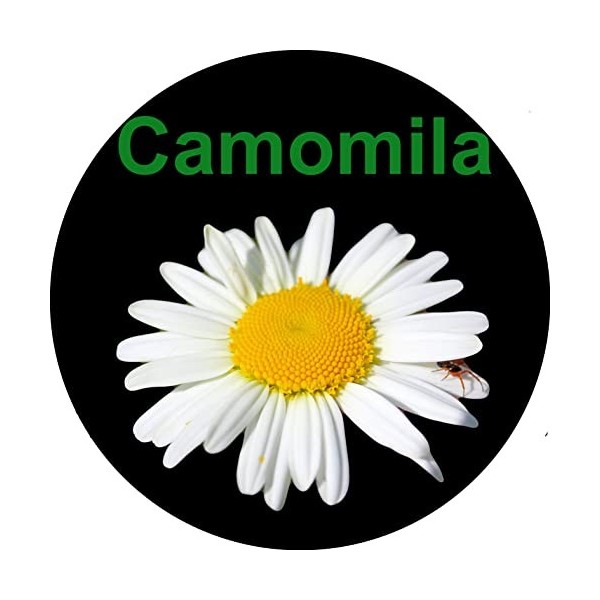 Smb Seeds Graines de Camomille