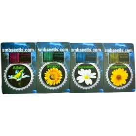 Smb Seeds Graines de Camomille