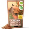 NaturaleBio Poudre de Cacao Bio 400g. Non Sucré, Naturel et Pur à partir de Fèves Crues. Produit par la Plante Theobroma. Sou...