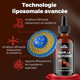 Berbérine 3000 mg en Gouttes Liposomales – Complément Alimentaire, Haute Absorption, avec Thé Vert, Cannelle de Ceylan, Ginge...