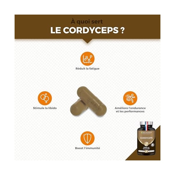 CORDYCEPS – 22200 mg – Extrait de Mycélium de Cordyceps 20:1 – Hautement Dosé en Polysaccharides – Champignon Adaptogène – 90...