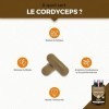CORDYCEPS – 22200 mg – Extrait de Mycélium de Cordyceps 20:1 – Hautement Dosé en Polysaccharides – Champignon Adaptogène – 90...