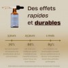 TERRAPHY - Cure Concentration 30 jours Champignons Adaptogènes - Lion’s Mane, Bacopa & Vitamines B6 B9 - Développe Focus, Mém
