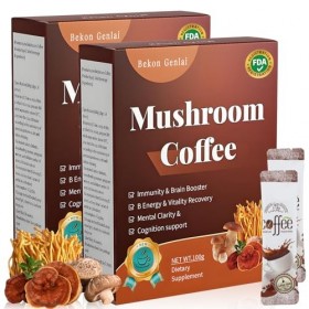 2Pcs Café Aux Champignons,Café Champignons Adaptogenes,Complexe de champignons en Poudre Bio avec Crinière De Lion, Chaga, Re