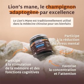 Mium Lab – Lions Mane Crinière de Lion – Gummies sans sucre – Extrait 18:1 hautement concentré d’Hericium erinaceus – Compl