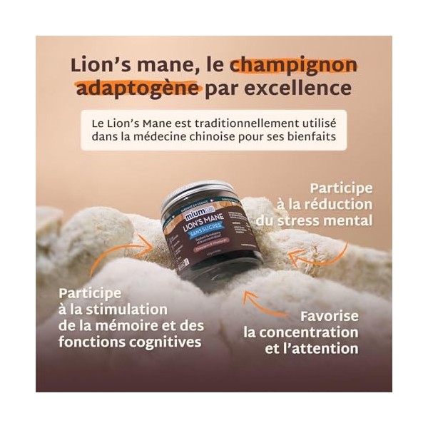 Mium Lab – Lions Mane Crinière de Lion – Gummies sans sucre – Extrait 18:1 hautement concentré d’Hericium erinaceus – Compl