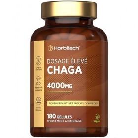 Chaga Champignon 4000mg | 180 Capsules | Extrait de champignon hautement dosé | Complément à base de champignons | by Horbaac