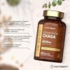 Chaga Champignon 4000mg | 180 Capsules | Extrait de champignon hautement dosé | Complément à base de champignons | by Horbaac