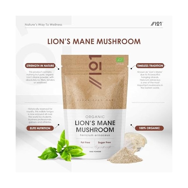 Poudre de crinière de lion bio 100 g – Pure Hericium Erinaceus Powder – Sachet refermable et recyclable – par Alpha01
