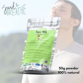 ALIBOOSTER - Poudre extrait pur standardisé champignon Lignosus Lait de tigre - Tiger Milk 50g
