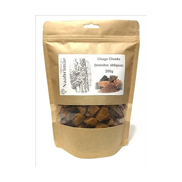 Chaga Champignon 200 g – Morceaux de qualité supérieure de 3 à 5 cm / collectés pour le gibier / idéal pour le thé et la sant