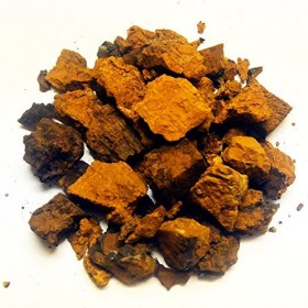Chaga Champignon 200 g – Morceaux de qualité supérieure de 3 à 5 cm / collectés pour le gibier / idéal pour le thé et la sant