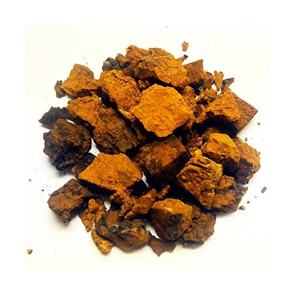 Chaga Champignon 200 g – Morceaux de qualité supérieure de 3 à 5 cm / collectés pour le gibier / idéal pour le thé et la sant