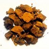 Chaga Champignon 200 g – Morceaux de qualité supérieure de 3 à 5 cm / collectés pour le gibier / idéal pour le thé et la sant