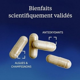Cordyceps Sinensis Bio - Champignon vegan issu de fermentation végétale - Extrait concentré 60% polysaccharides & 20% bêta-gl