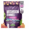 Gummies and Lions Mane Mushroom Gummies Supplément - Organic - Défense immunitaire, stimule les performances cognitives