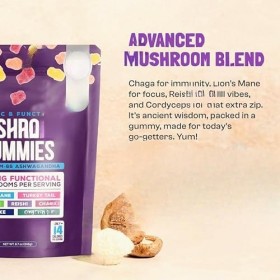 Gummies and Lions Mane Mushroom Gummies Supplément - Organic - Défense immunitaire, stimule les performances cognitives