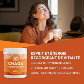 Vimergy Poudre de Chaga, Format Voyage, 166 Portions – Extrait de Champignon Chaga – Complément Vegan – Formulé sans Agents A